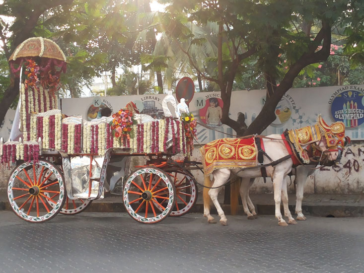 Wedding Chariot on Rent