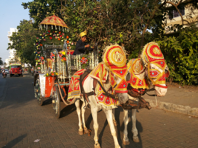 Horse Baggi on Hire in Mumbai