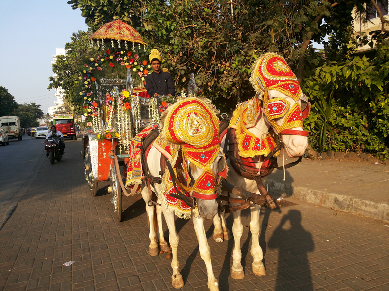 2 Horse Rath on Rent in Mumbai