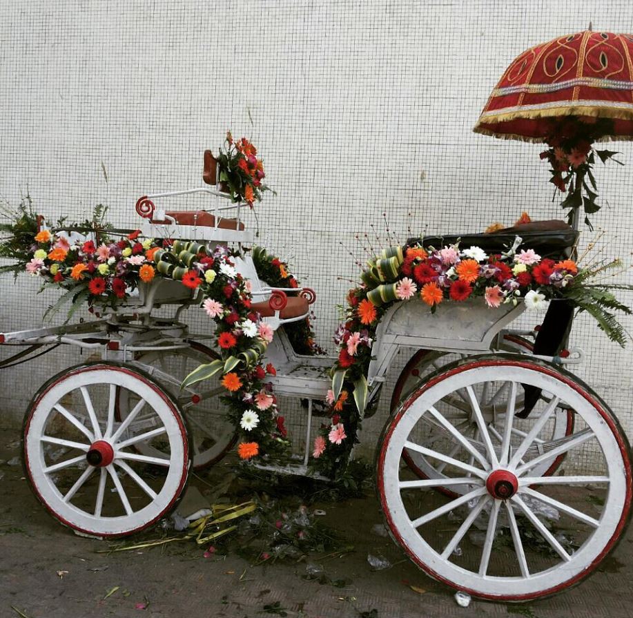 Victorian Buggy for Wedding