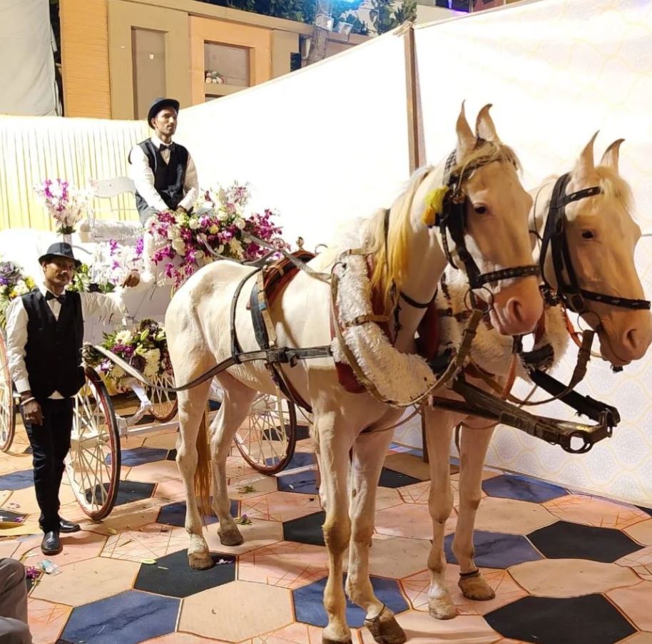 Victorian Buggy for Marriage Event, Function
